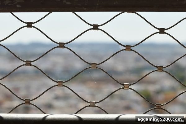 大小球投注资金延迟到账？线上体彩用户必读的排查与避险手册